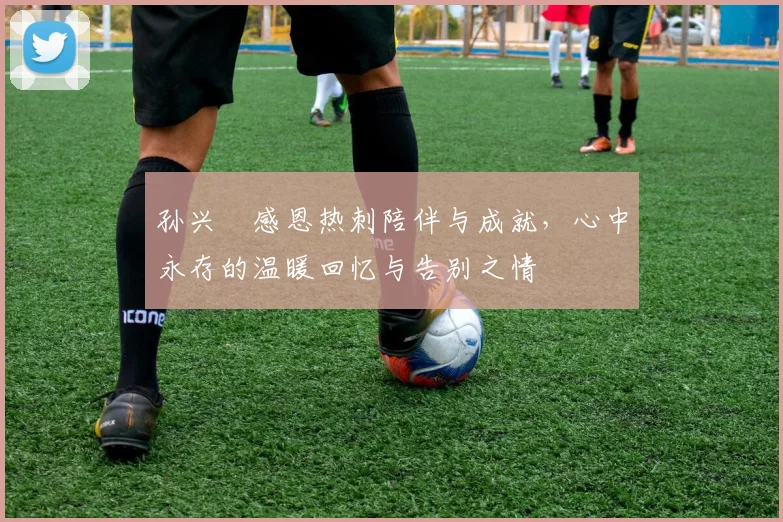 孙兴慜感恩热刺陪伴与成就，心中永存的温暖回忆与告别之情