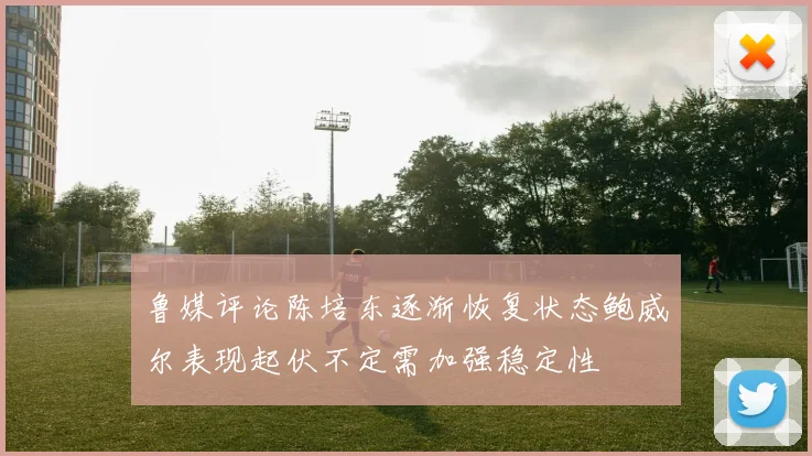 鲁媒评论陈培东逐渐恢复状态鲍威尔表现起伏不定需加强稳定性