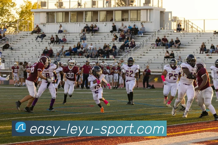 App Interface Preview