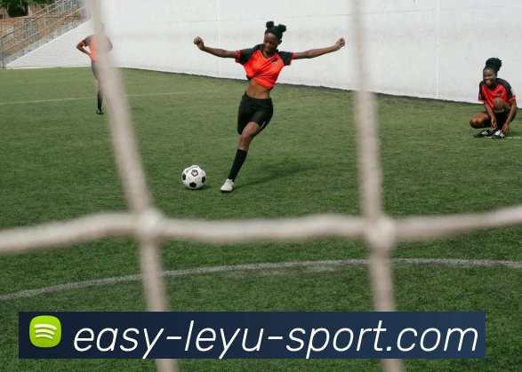 乐鱼体育APP 封面图