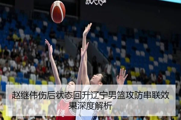 赵继伟伤后状态回升辽宁男篮攻防串联效果深度解析 - leyu